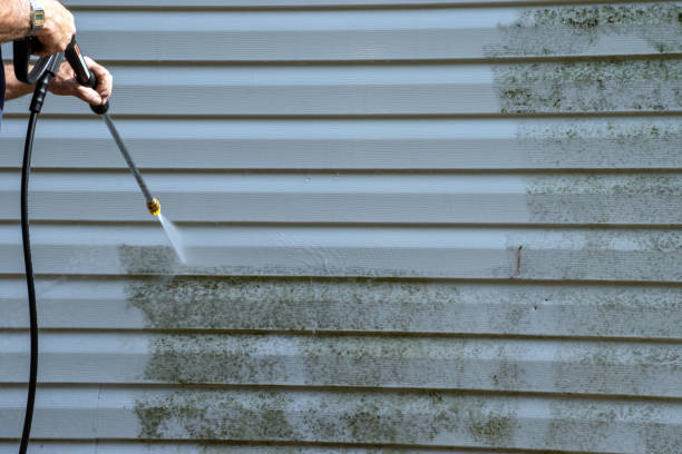 Trusted Cadiz, OH Siding Installation & Repair Experts